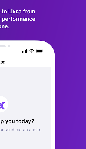 Lixsa Screenshot 2