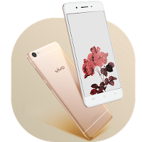 Theme for Vivo Y55s