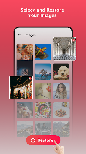 Old Photo & Video Recovery App Screenshot 1