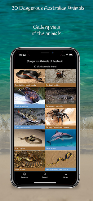 Dangerous Animals of Australia Screenshot 3