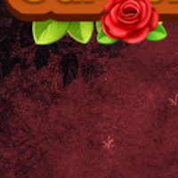 Petal Pair: Garden Puzzle