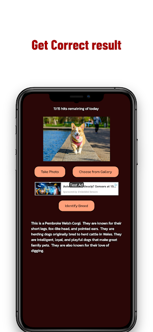 Dog Breed Identifier Screenshot 1
