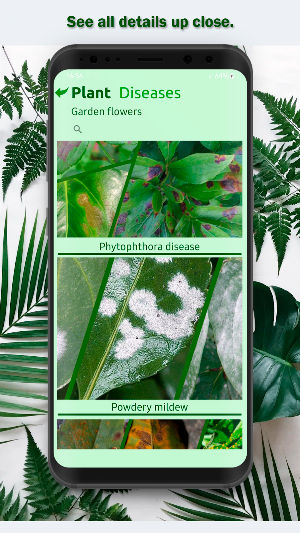Plant diseases by photo Screenshot 1