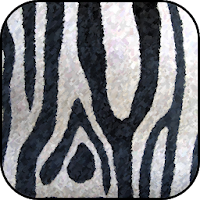 Zebra wallpapers