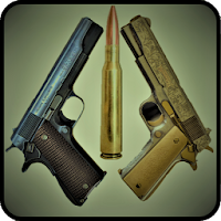 Weapons PRO (All Weapons)