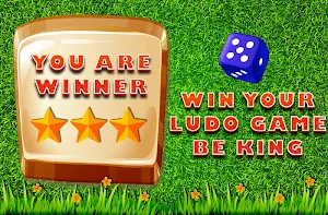 Ludo Game : Classic Screenshot 3