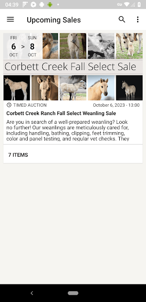 Corbett Creek Ranch Auction Screenshot 0