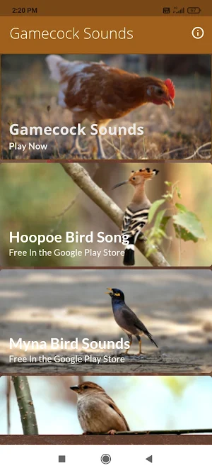 Gamecock Sounds Screenshot 0