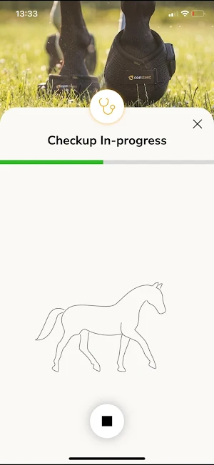 consteed Screenshot 2