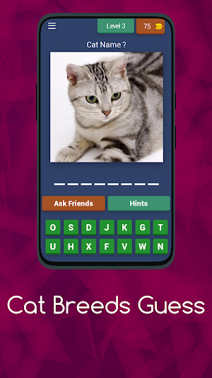 CAT BREEDS GUESS Screenshot 3