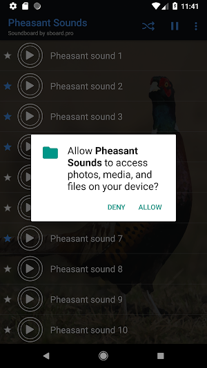 Pheasant sounds ~ Sboard.pro Screenshot 1