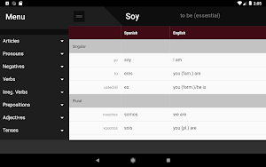 Spanish Grammar Screenshot 3