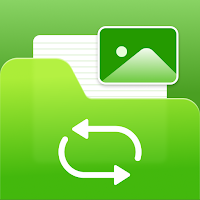 Photo Recovery Pro