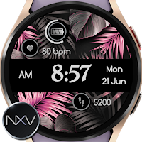 NXV91 Elegant Watch Face
