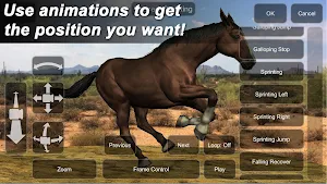 Horse Mannequin Screenshot 2