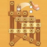 Screw Nuts Wooden Puzzle Game