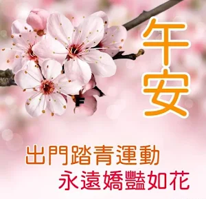 午安,早安 Screenshot 0