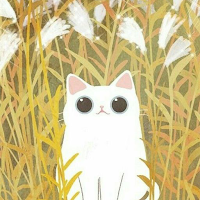 Kawaii Kitten Wallpaper 4K