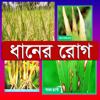 ধানের রোগ ~ Paddy Diseases