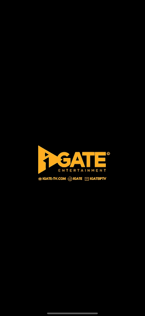 iGate Player Screenshot 0