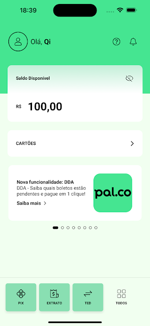 PAL.CO Screenshot 2