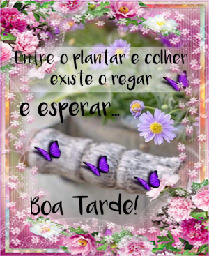 Imagens Diárias Bom Dia Screenshot 2