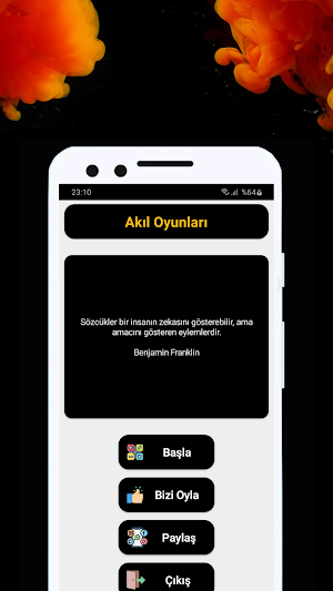 IQ: Akıl Oyunları Screenshot 0