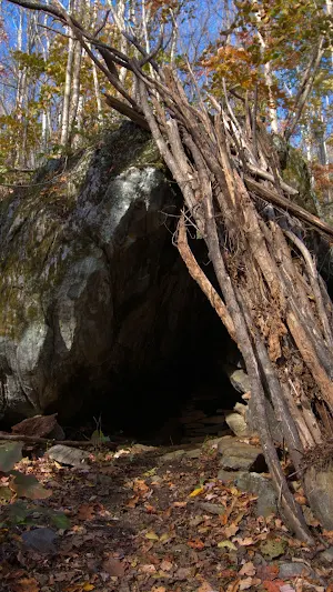 Wilderness Survival Wallpaper Screenshot 1