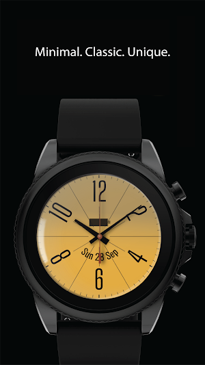 Antiqua Watch Face Screenshot 0
