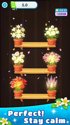 Flower Align Screenshot 3