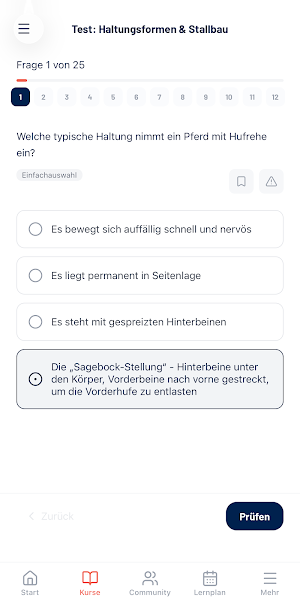 Sachkunde Pferdehaltung Screenshot 2