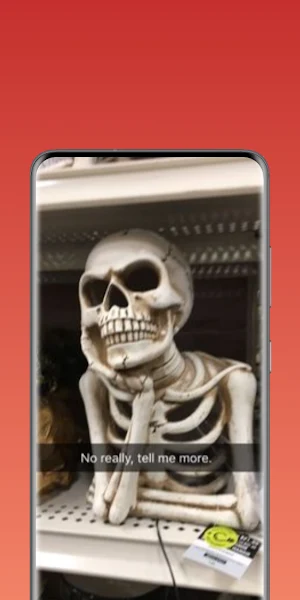 funny wallpaper Screenshot 3