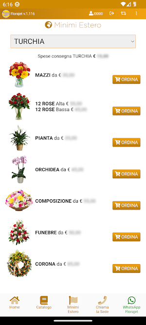 Florajet Screenshot 2