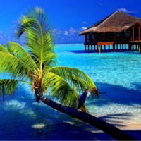 Awesome Tropical Wallpapers