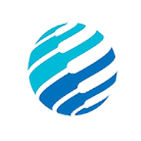 Bigdbiz Solutions pvt ltd