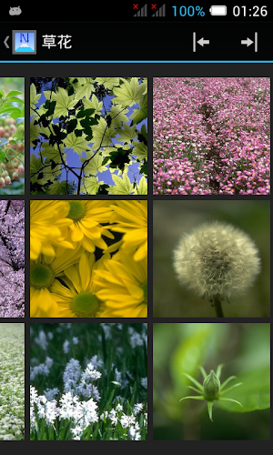 Gallery for Nippon Screenshot 1
