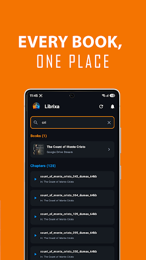 Librixa - Audiobooks player Screenshot 3