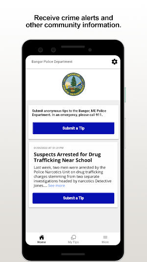 Bangor PD Screenshot 0