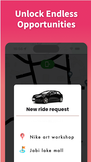 Dash Driver Screenshot 3