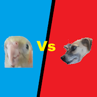 Tico Vs Pitucha