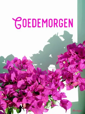 Goedemorgen Middag & Avond Screenshot 1