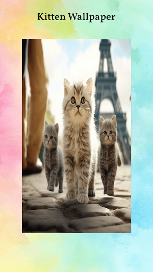 Cute Kitten Wallpapers Screenshot 2