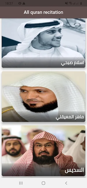 All quran recitation Screenshot 0