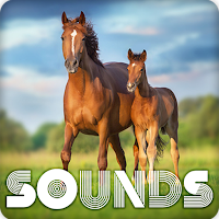 Horse Sound Ringtones
