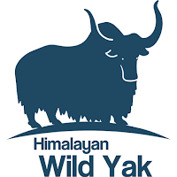 Himalayan Wild Yak