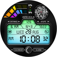 DIGI SKETALON WS27 Watch face