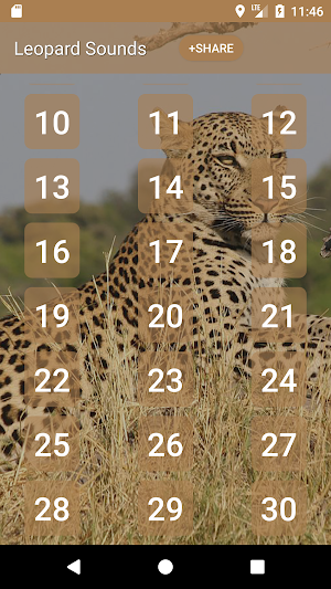 Leopard (Animal) Sounds Screenshot 1