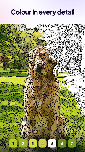 Color Memories-Paint by number Screenshot 1