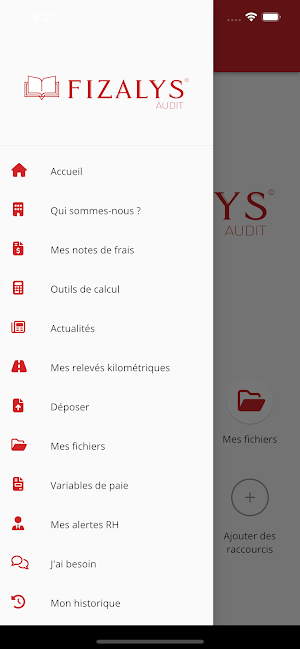 FIZALYS Screenshot 2