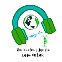 The Perfect Jungle Fm Radio